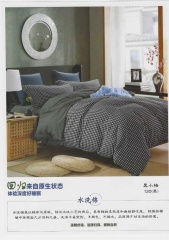 4560baade7994bfab088b6d932a37806